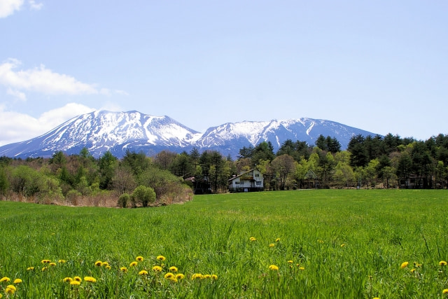 軽井沢の気候・風土と向き合う別荘設計